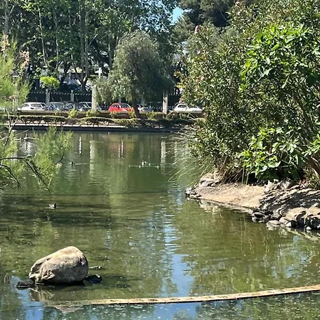 Turistico S *